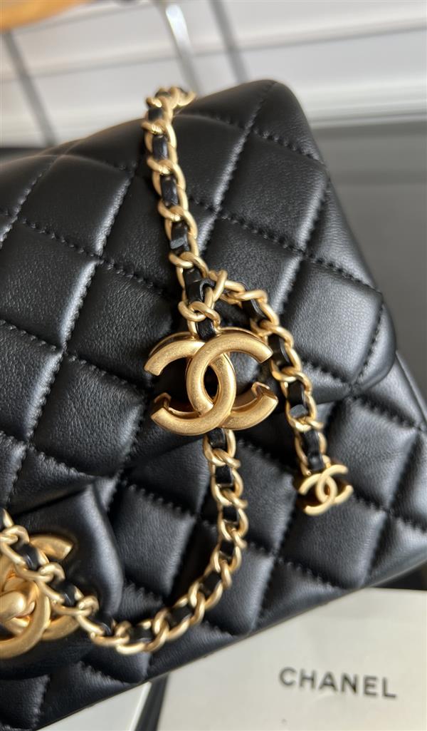 2026131214225411 670